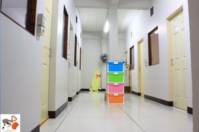 บริเวณทางเดิน